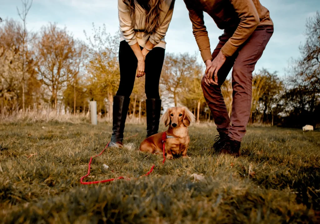 Couple standing with their dachshund in the Oxfordshire countryside during an engagement shoot